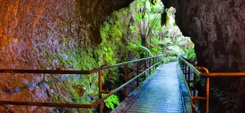 Image related to Fern Grotto Tour 