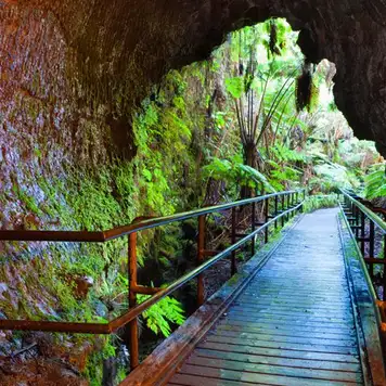 Image related to Fern Grotto Tour 