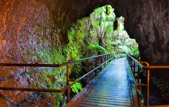 Image related to Fern Grotto Tour 