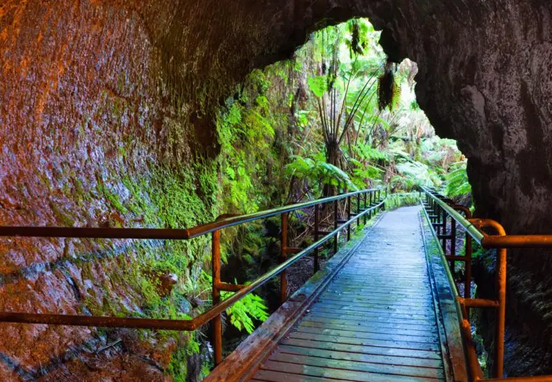 Fern Grotto Tour 