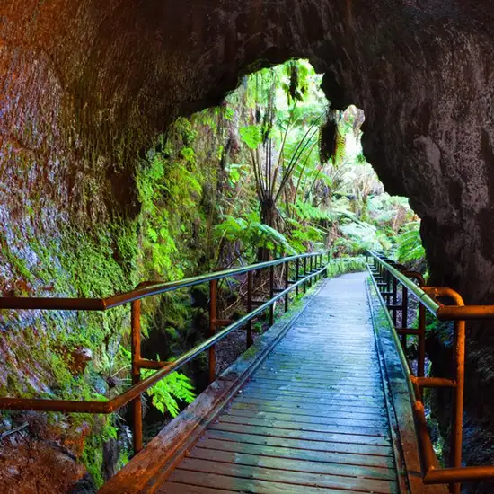 Image related to Fern Grotto Tour 