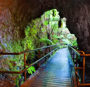 Image related to Fern Grotto Tour 