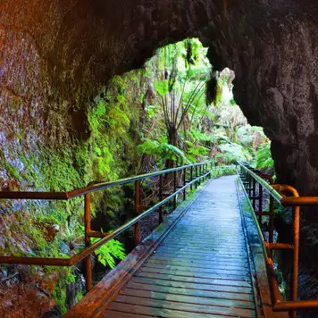 Image related to Fern Grotto Tour 