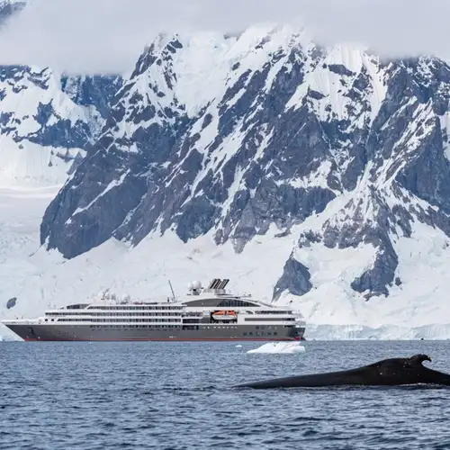 Image related to Le Boreal