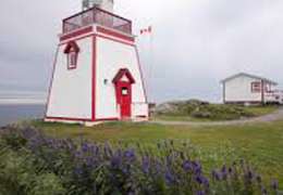 IgluCruise.Application.ViewModels.Shared.WebImageViewModel?.Description