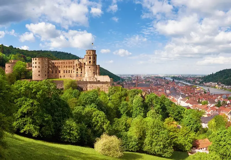 Medieval castle ruins surrounded by trees on a hilltop