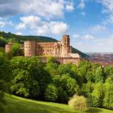 Medieval castle ruins surrounded by trees on a hilltop