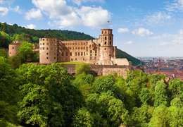 IgluCruise.Application.ViewModels.Shared.WebImageViewModel?.Description