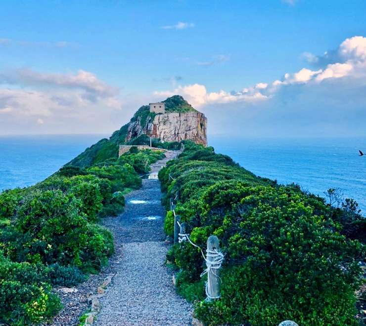 Full Day Cape Point & Peninsula Excursion