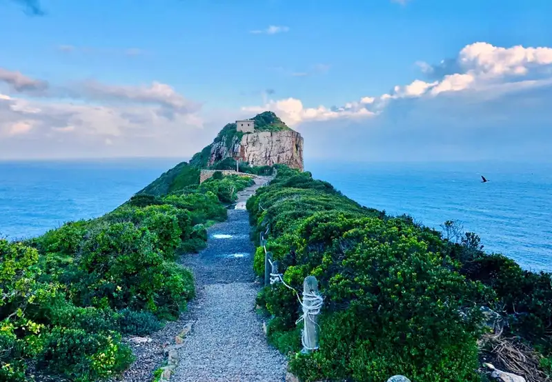 Full Day Cape Point & Peninsula Excursion