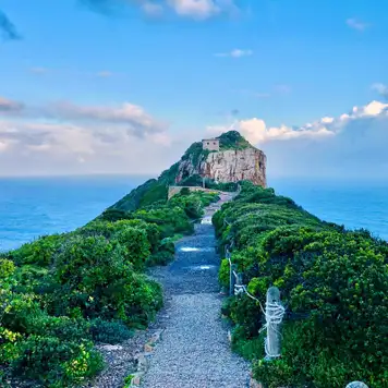 Image related to Full Day Cape Point & Peninsula Excursion