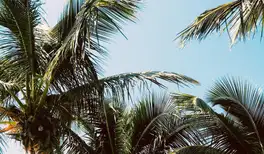 Image related to Heritage and Cultural Tour