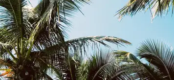 Image related to Image related to Heritage and Cultural Tour