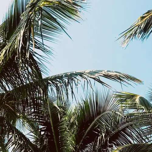 Image related to Image related to Heritage and Cultural Tour