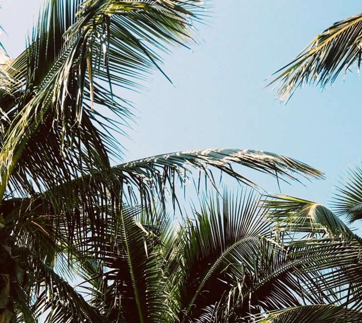 Heritage and Cultural Tour