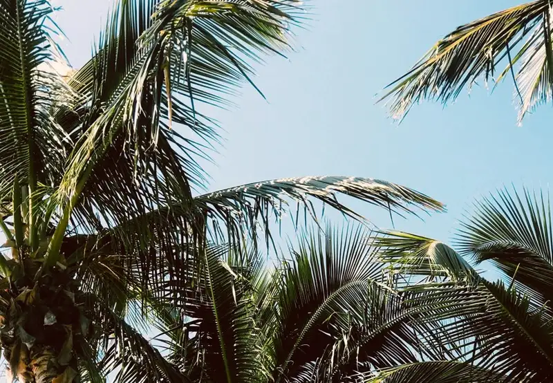 Image related to Heritage and Cultural Tour