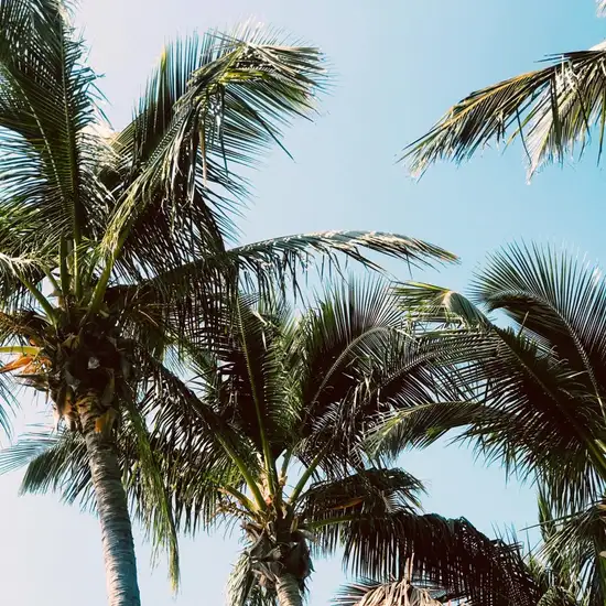 Image related to Image related to Heritage and Cultural Tour