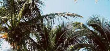 Image related to Image related to Heritage and Cultural Tour