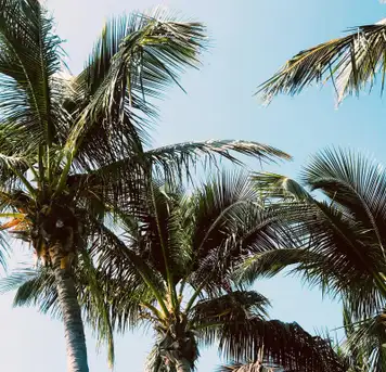 Image related to Heritage and Cultural Tour