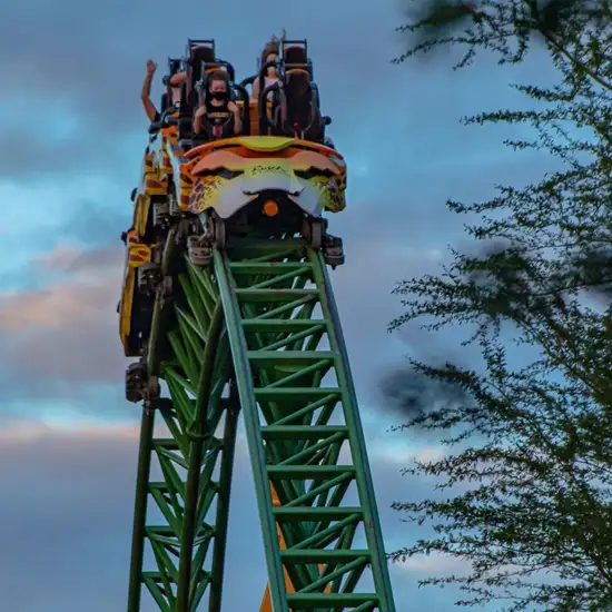 Image related to Busch Gardens