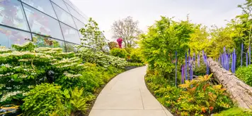 Image related to Seattle Center