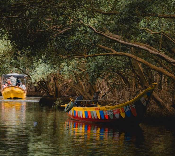 Take a Panga Ride