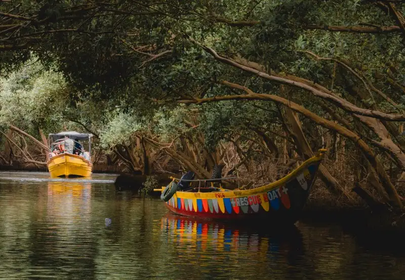 Take a Panga Ride