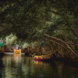 Image related to Take a Panga Ride