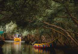 IgluCruise.Application.ViewModels.Shared.WebImageViewModel?.Description