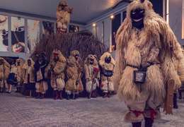 IgluCruise.Application.ViewModels.Shared.WebImageViewModel?.Description