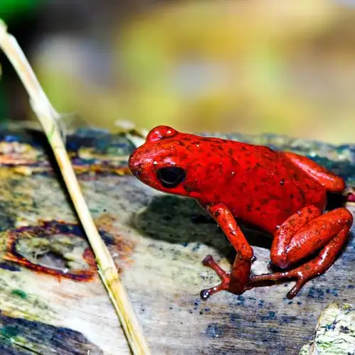 Image related to Las Hadas 