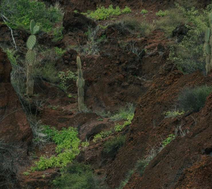 Hike to the Viewpoint