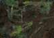 Hike to the Viewpoint