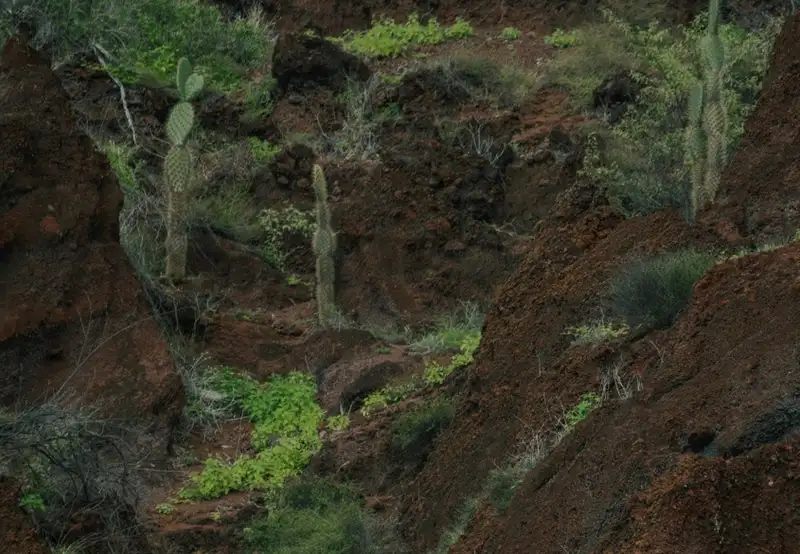 Hike to the Viewpoint