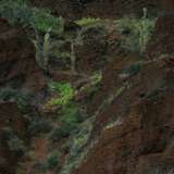 Image related to Hike to the Viewpoint