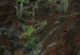 IgluCruise.Application.ViewModels.Shared.WebImageViewModel?.Description