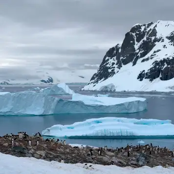 Image related to Paradise Bay