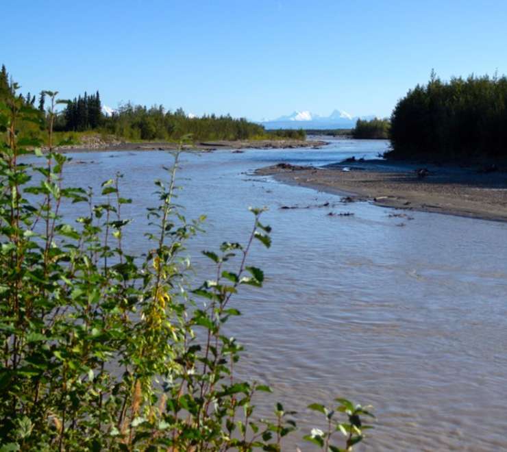 Tanana River