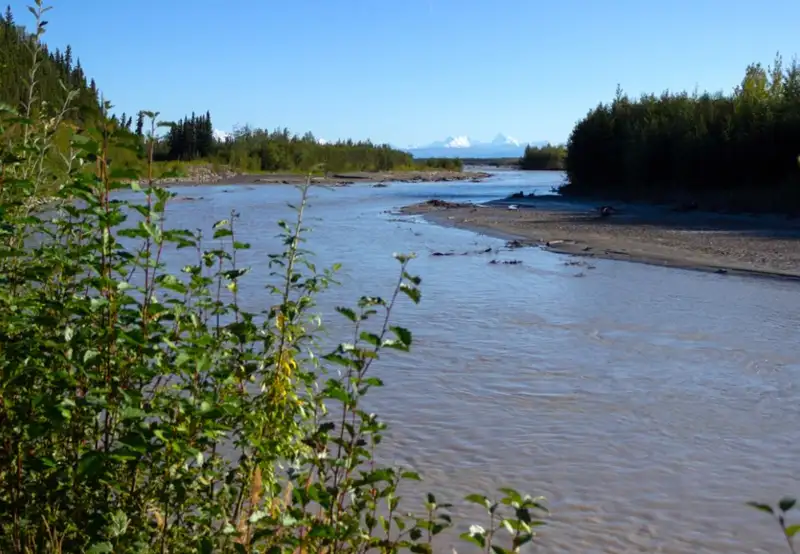 Tanana River