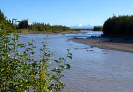 IgluCruise.Application.ViewModels.Shared.WebImageViewModel?.Description