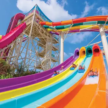 Image related to Splash Summit