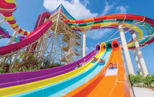 Image related to Splash Summit