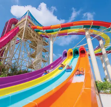 Image related to Splash Summit