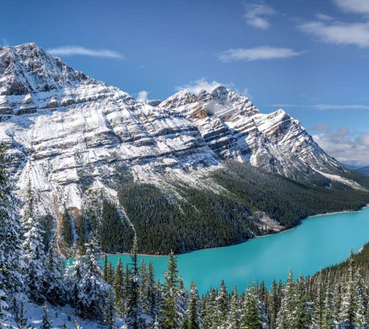 Glacier Bay National Park and Preserve