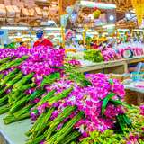 Image related to Pak Khlong Talat