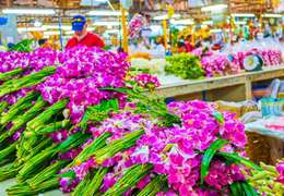 IgluCruise.Application.ViewModels.Shared.WebImageViewModel?.Description