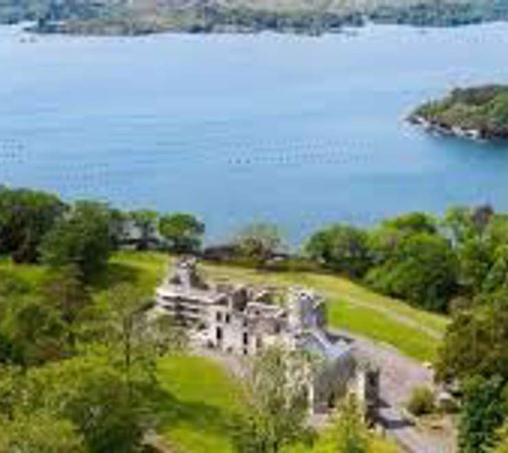 Take a Ferry to Whiddy Island