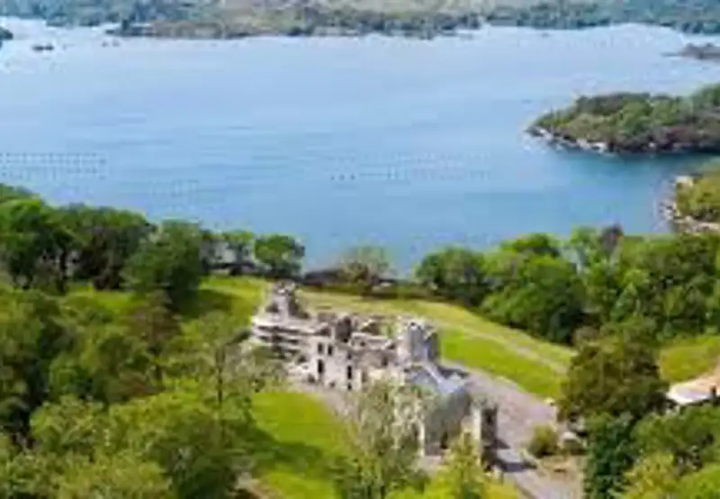 Take a Ferry to Whiddy Island