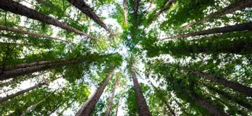 Image related to Cotubanamá National Park