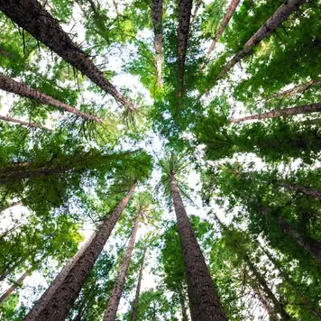 Image related to Cotubanamá National Park